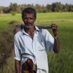 CIC fertilizer kills farmer